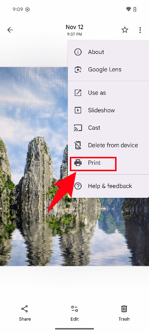 Select Print in the Google Photos overflow menu