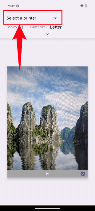 Choose Save as PDF from the Android print dialog
